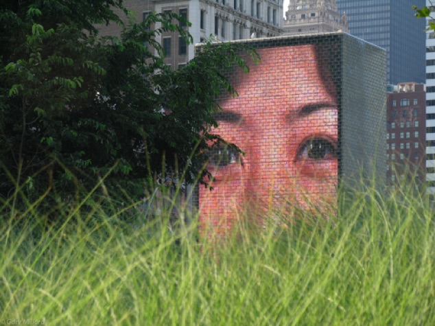Peeking above the Grass
Crown Fountain
Millennium Park - Chicago